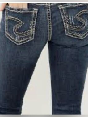 Silver Jeans Co. Aiko Skinny Women’s Denim Jeans